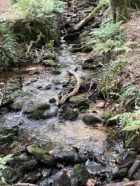 Warleggan river